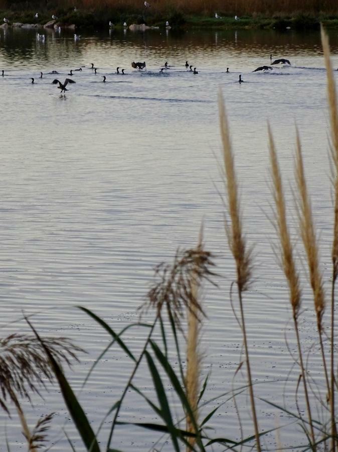 Les Rives Du Lac Ле-Гро-дю-Руа Екстер'єр фото